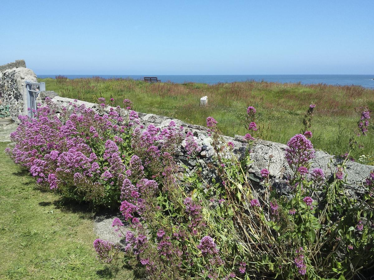 Vila Angorfa Cemaes Bay Exteriér fotografie